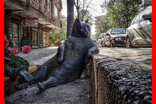 Chinese Porcelain: The Complete Guide to Jingdezhen