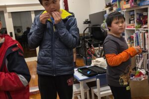 Chinese Dumplings: The Complete Guide to Jiaozi and Regional Filling Styles