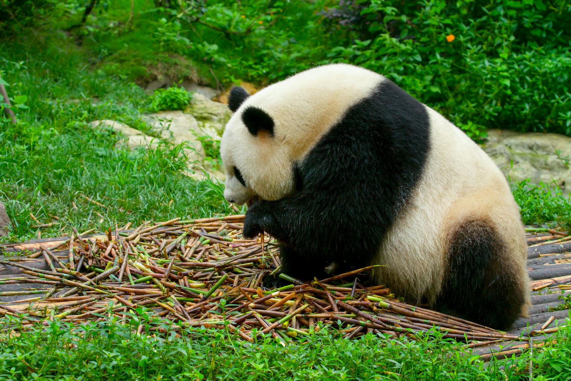 jinan travel in China