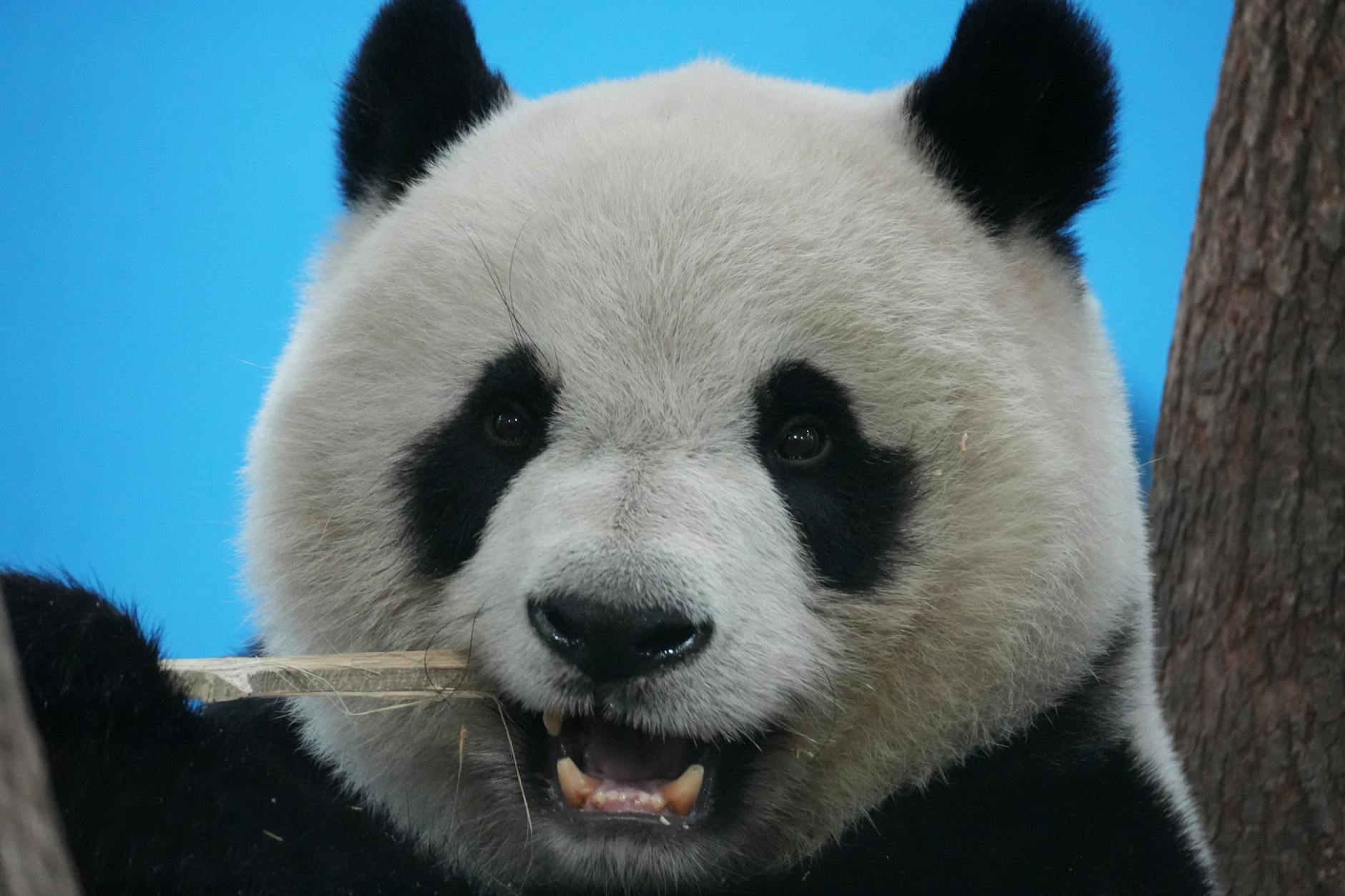 lhasa travel in China