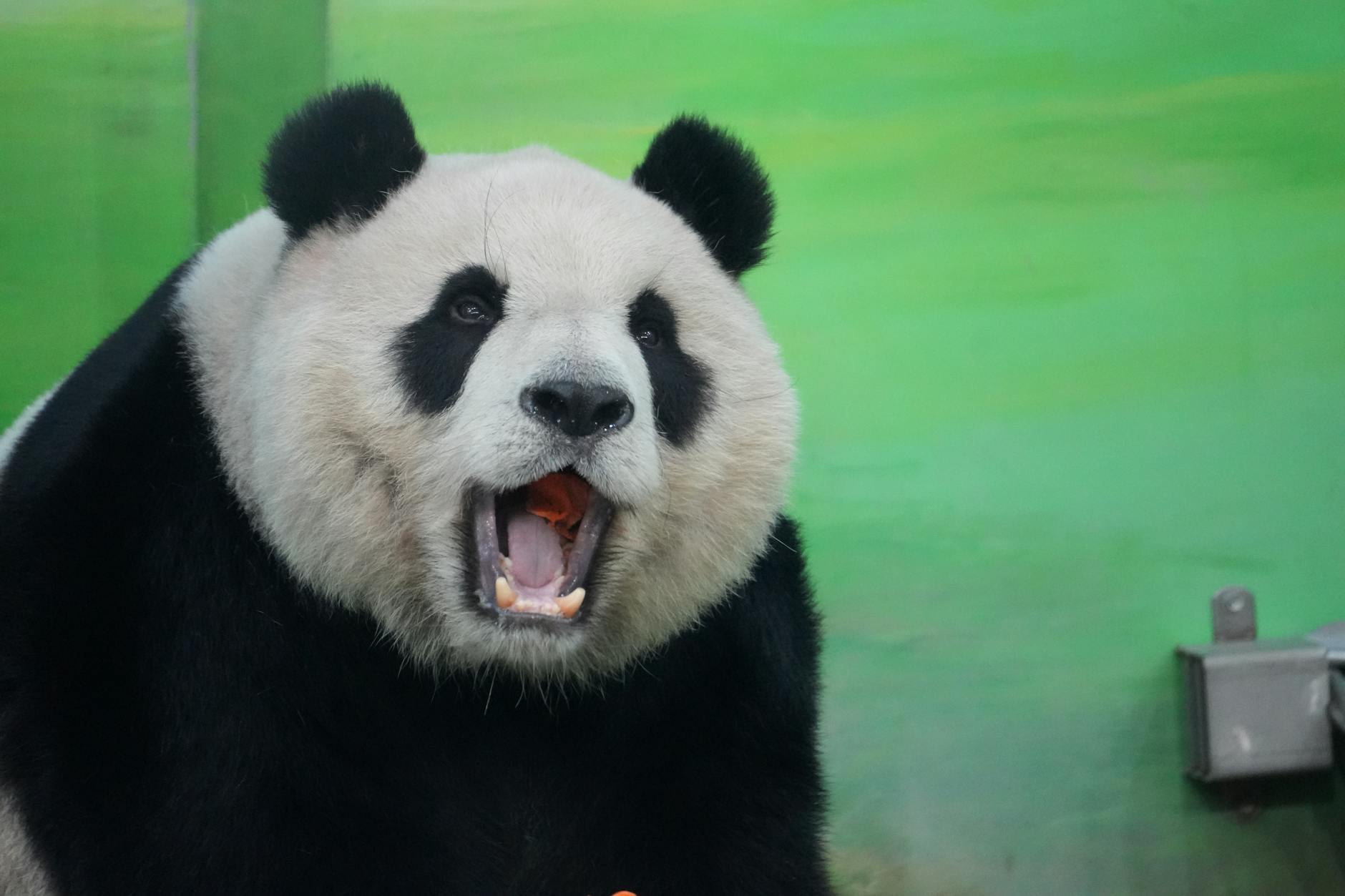 weifang travel guide