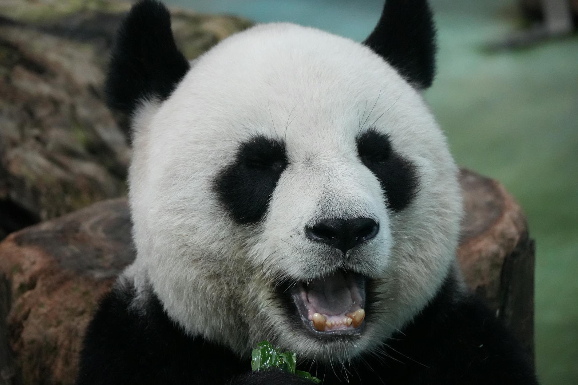 authentic zhangjiajie travel