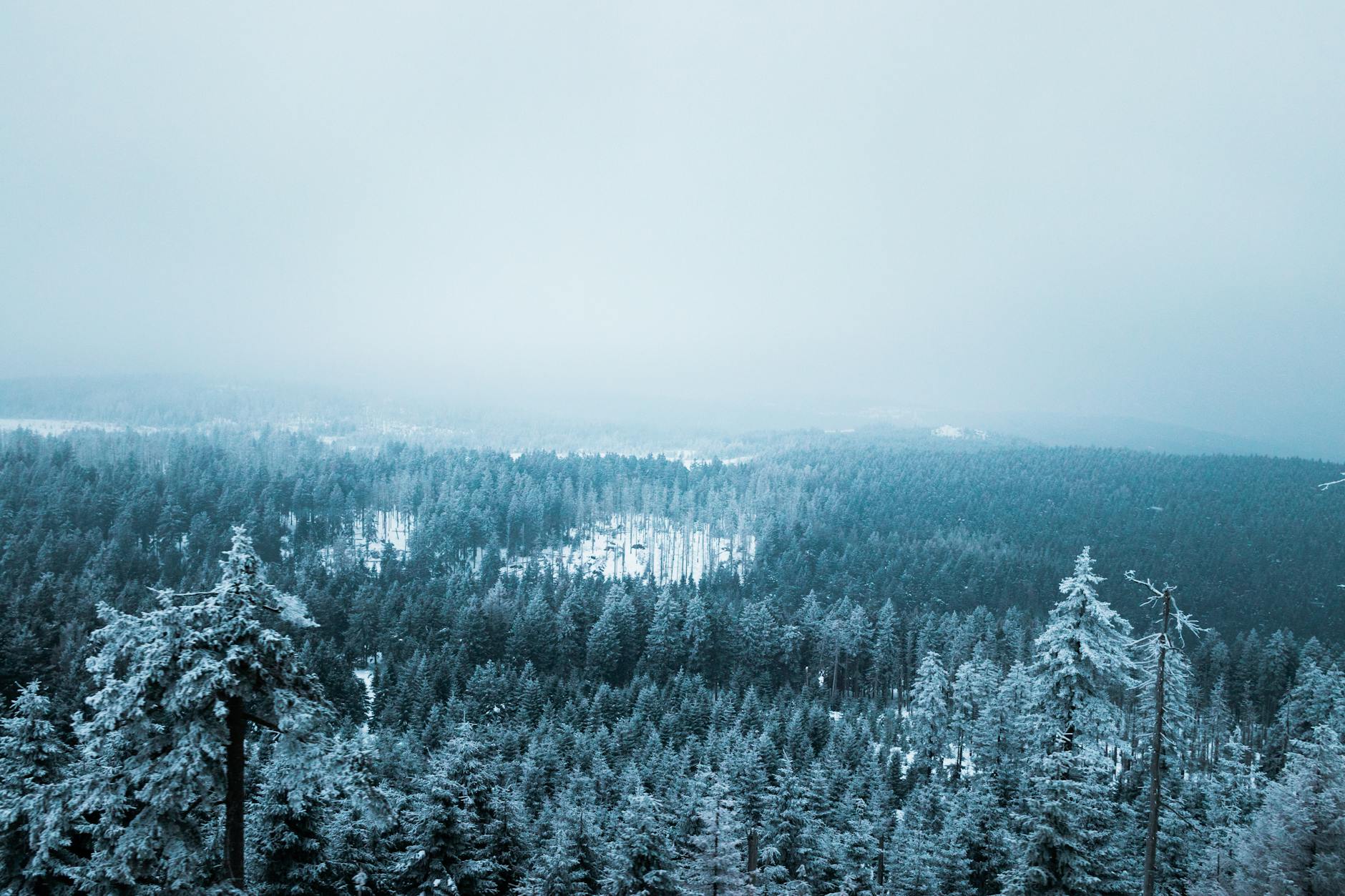 dali china travel guide