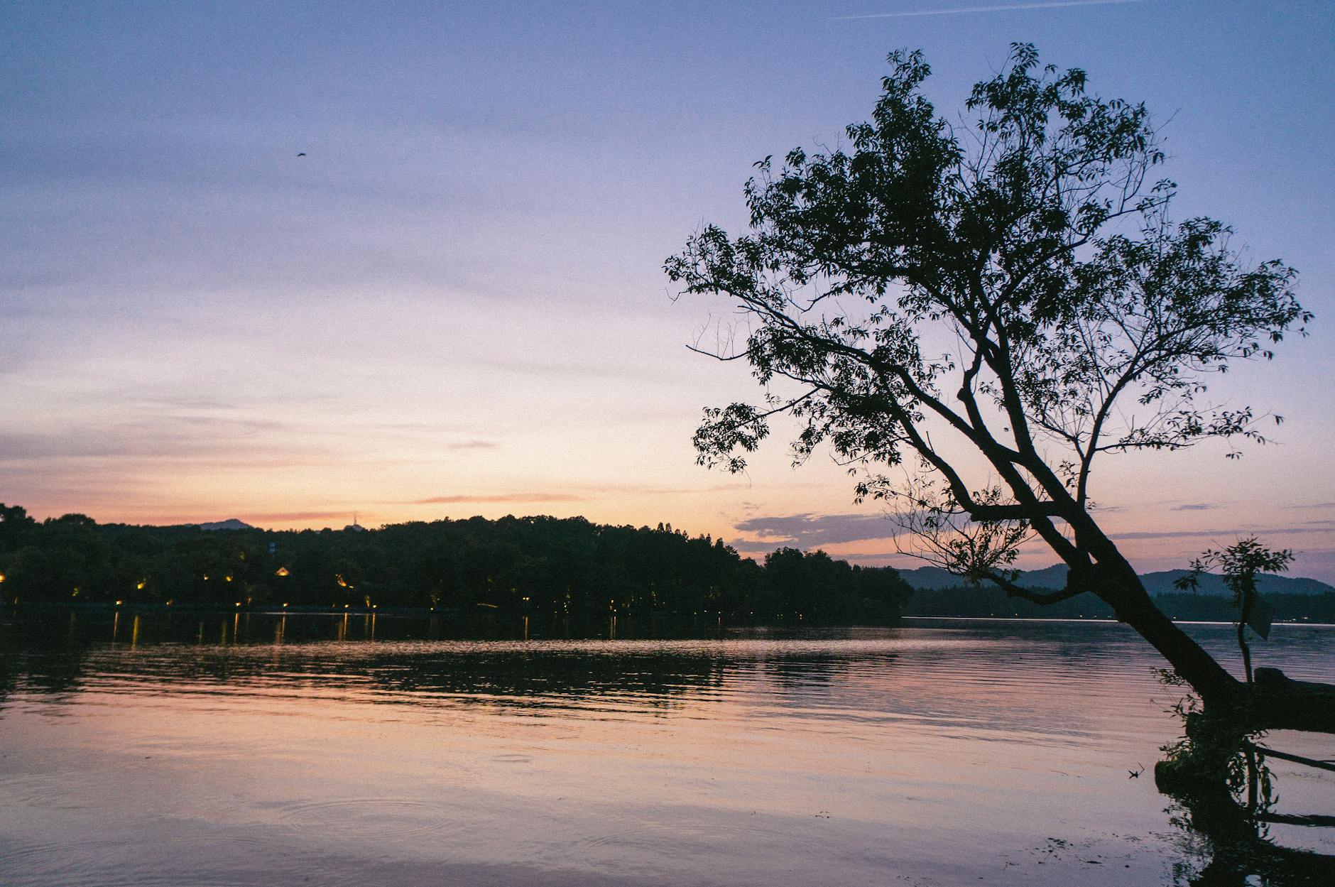 dongguan travel guide china