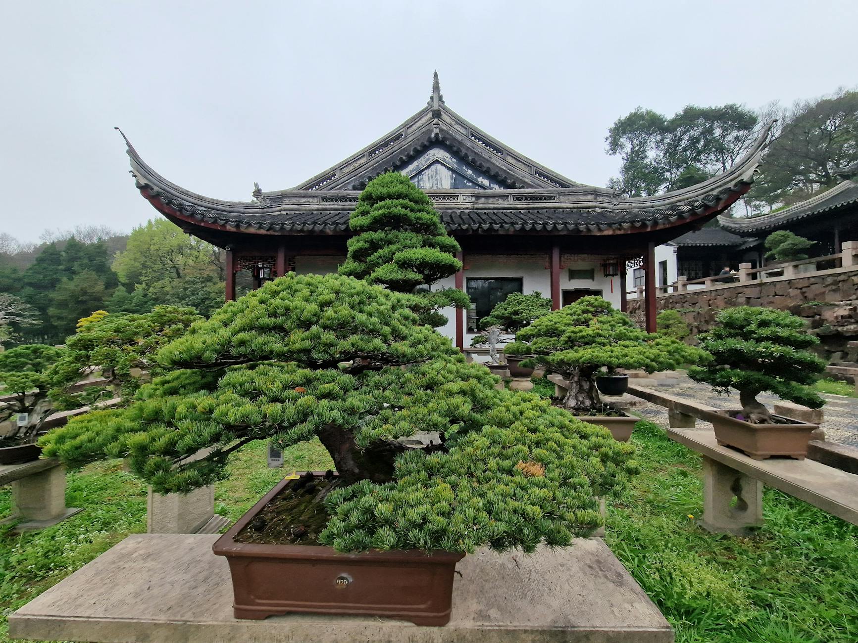 haikou travel guide experience