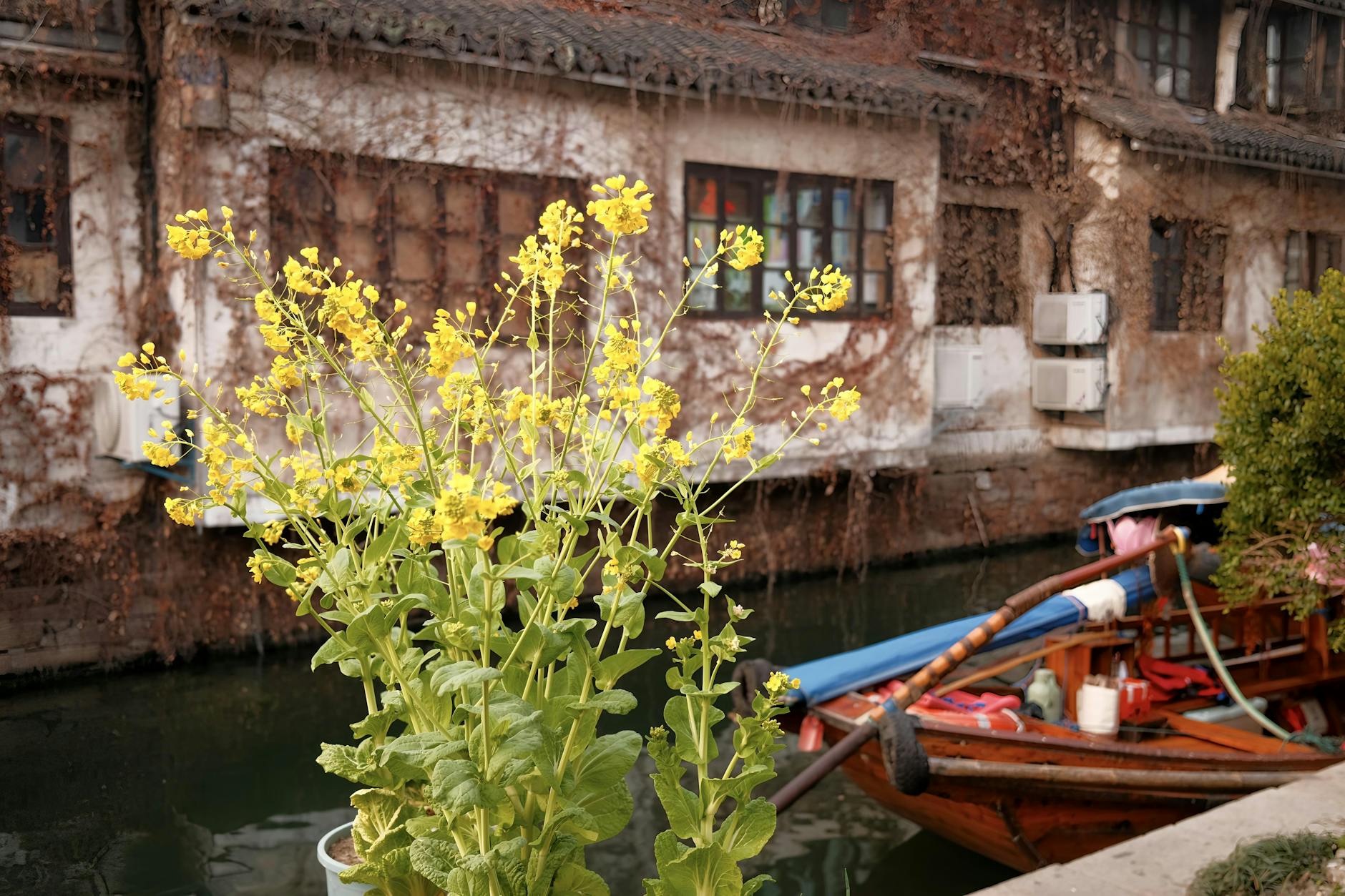 wenzhou travel guide experience