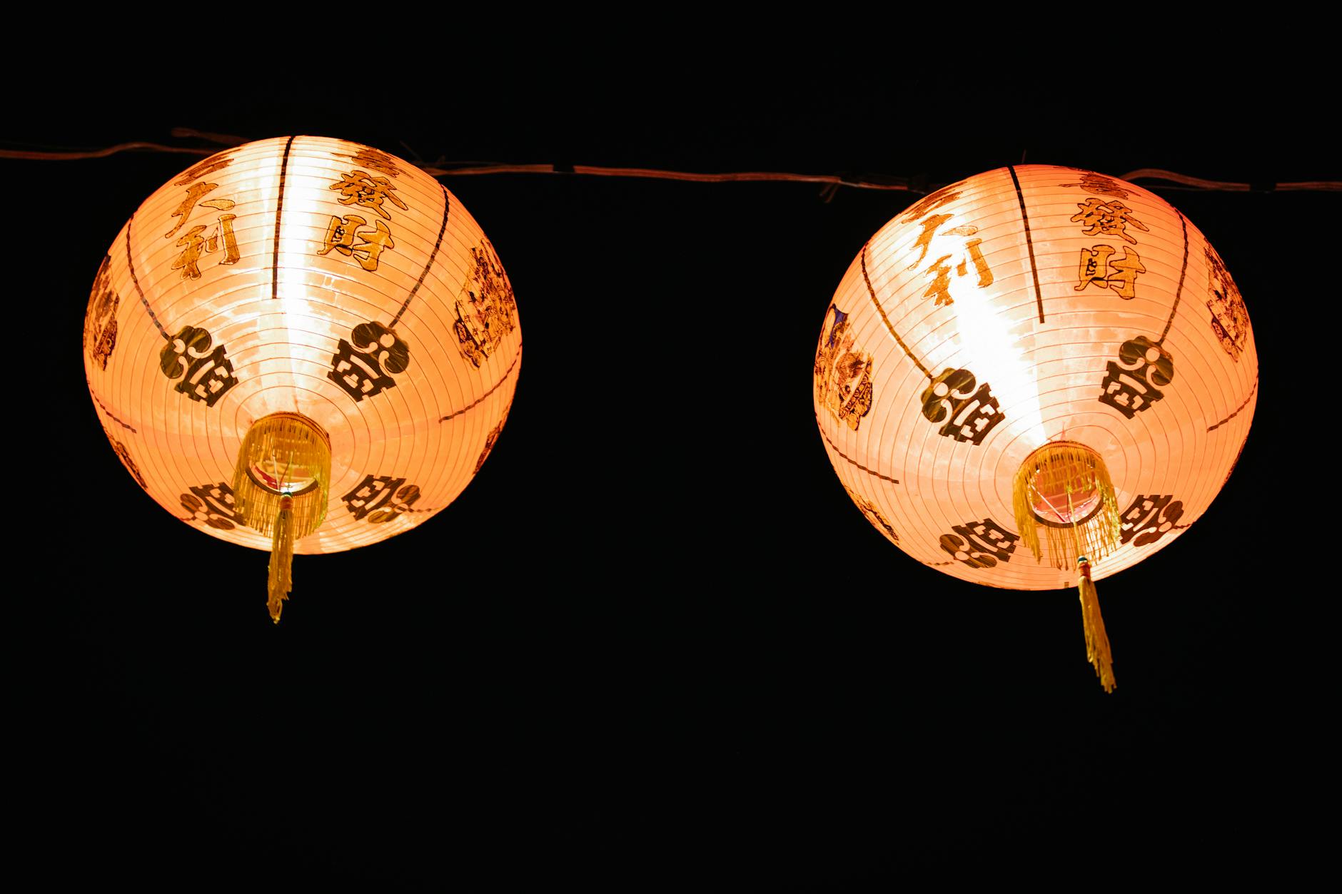 plum blossom tradition experience