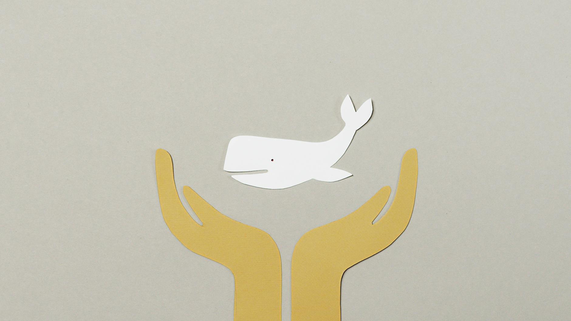 authentic double seventh festival