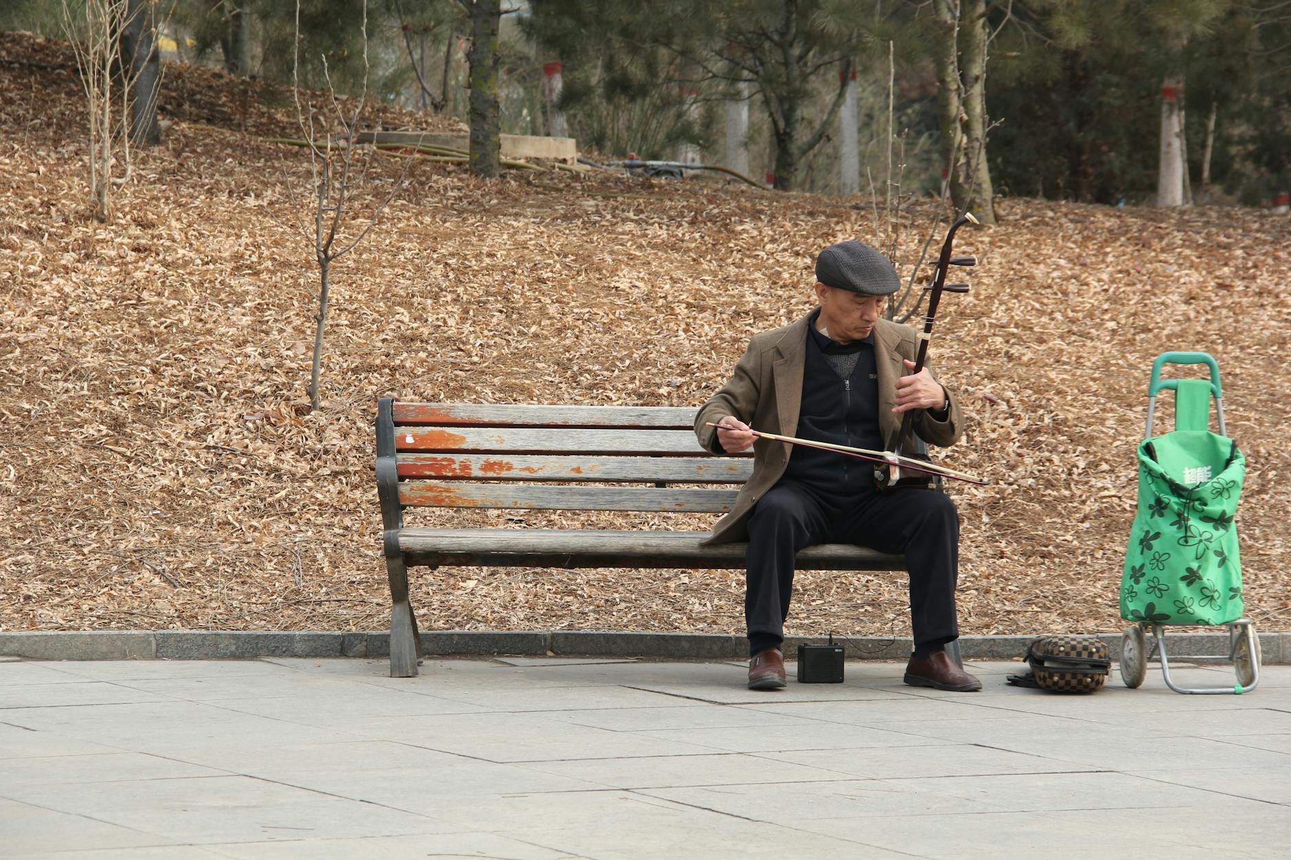 authentic the summer palace