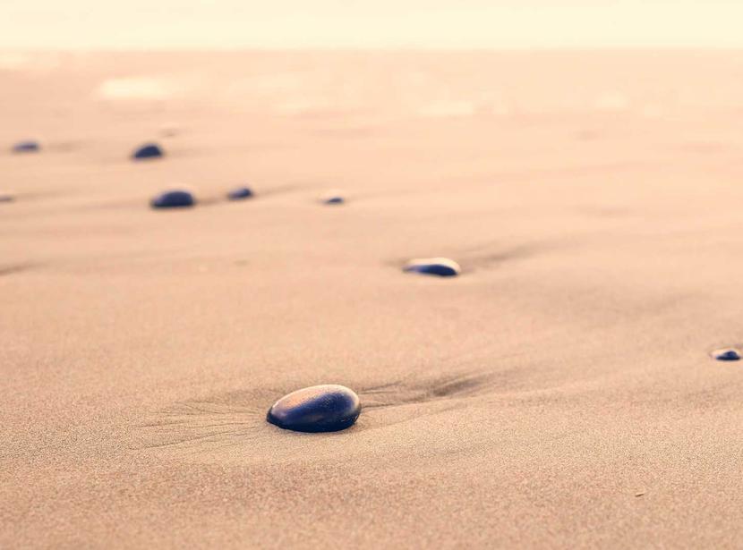 Chinese Paper Cutting: Folk Art in Red