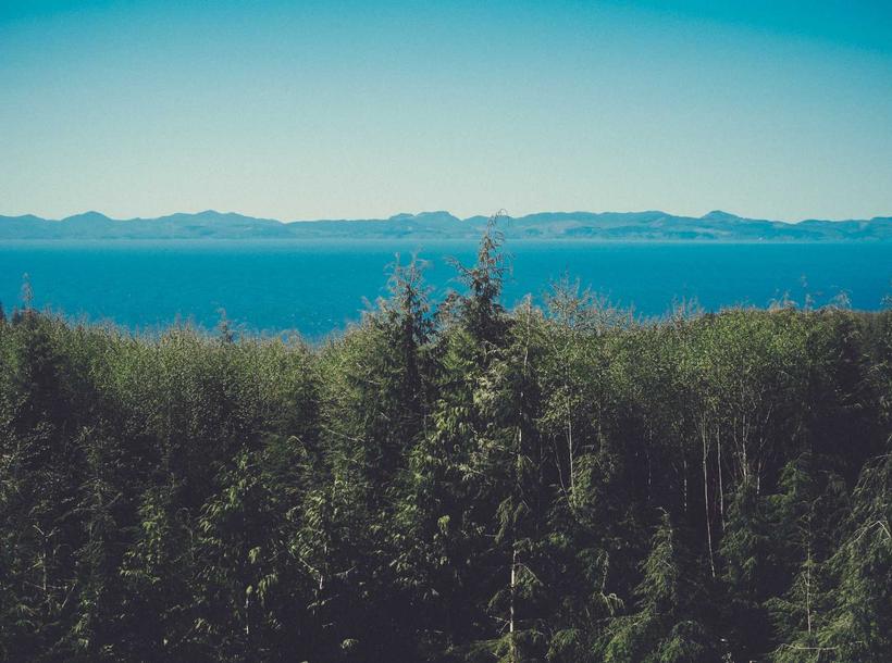 Chinese Porcelain: White Gold of the East