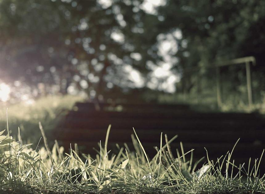 Chinese Calligraphy: The Art of Writing