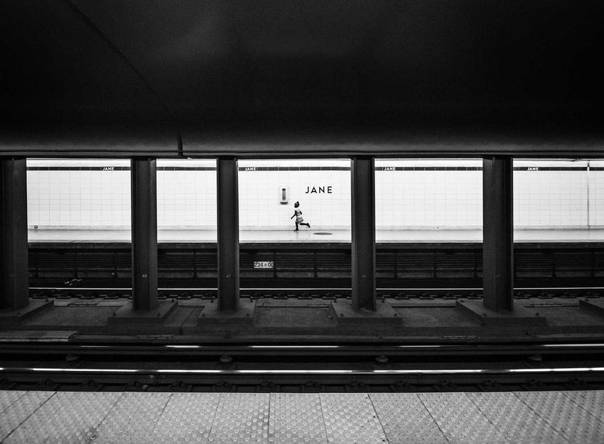 Giant Panda: China’s National Treasure and Ambassador of Friendship