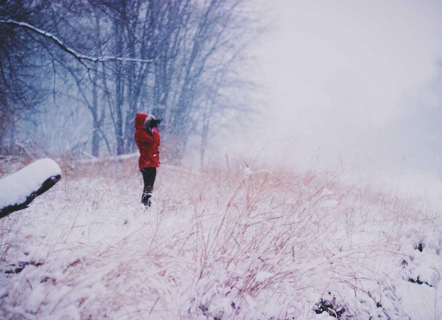 Chinese Dumplings: A Symbol of Reunion and Celebration