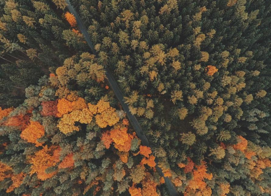 Shanghai: The Pearl of the Orient