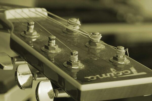 Chinese Silk: Complete Introduction to Chinese Traditions