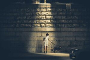 Best Places to Eat Turnip Cakes in China: Local Recommendations