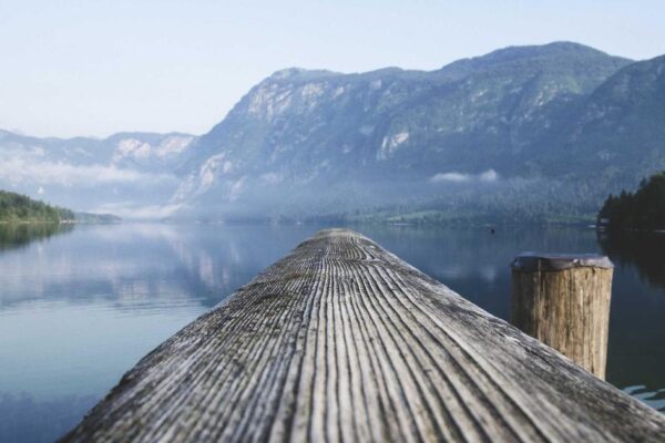 Famous Chen Style Tai Chi Masters and Their Legacy