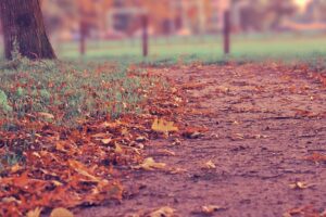 Best Places to Eat Chow Mein in China: Local Recommendations