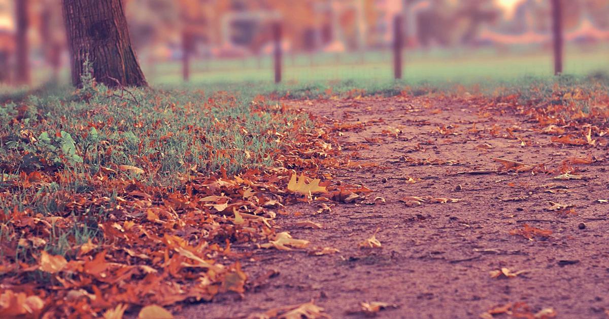 best Chow Mein restaurants