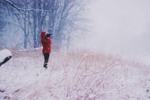 Famous Xingyi Masters and Their Legacy