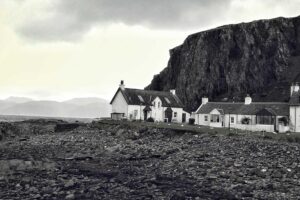 Chinese Calligraphy in Modern China: Traditions Today