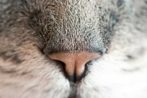 How to Experience Mid-Autumn Festival as a Foreign Visitor