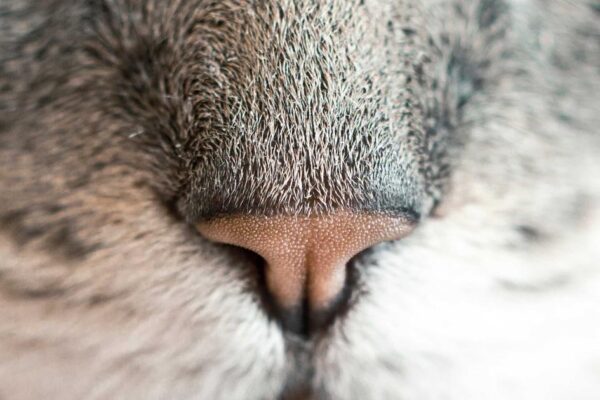 How to Experience Mid-Autumn Festival as a Foreign Visitor