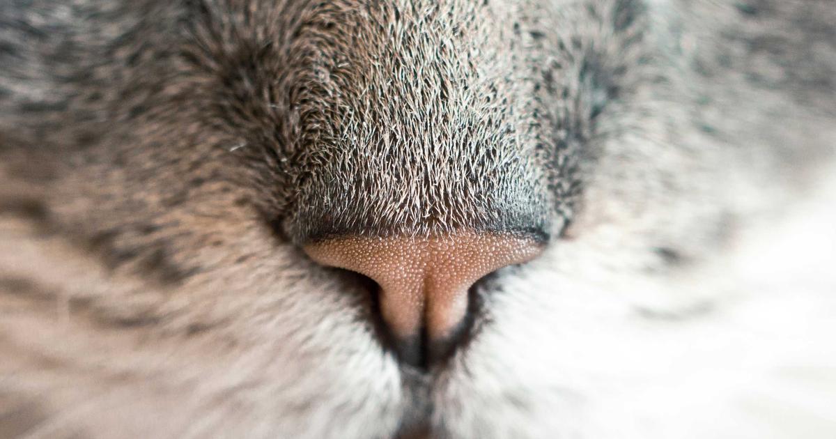 Mid-Autumn Festival for tourists