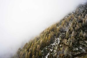 Tianjin Photography Spots: Local’s Guide to the Best Views