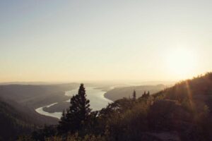 Best Places to Eat Turnip Cakes in China: Local Recommendations