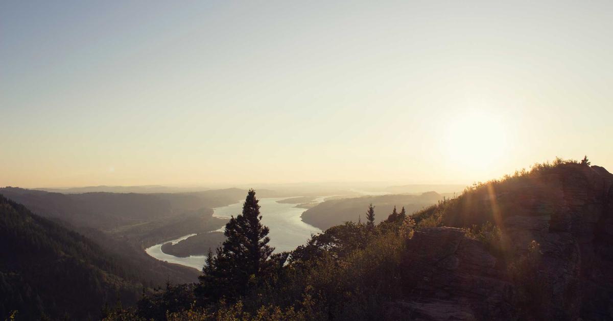 best Turnip Cakes restaurants