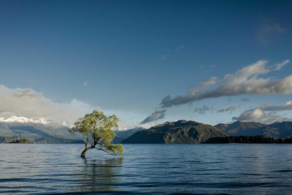 Regional Variations of Chow Fun Across China