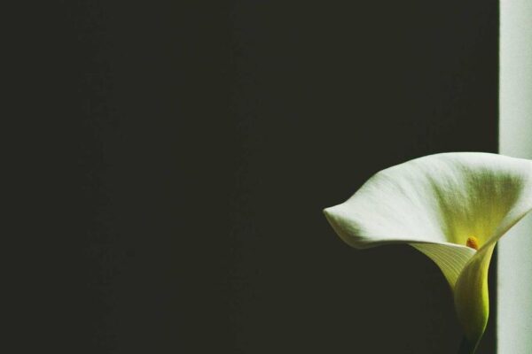 Hidden Gems in Hangzhou: Beyond the Tourist Trail