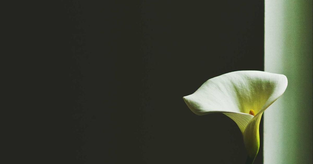 secret spots in Hangzhou