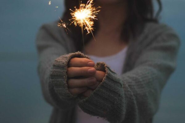 Hung Gar: Complete Guide to Chinese Martial Arts