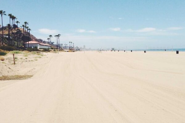 Scallion Pancakes Recipe: Traditional Step-by-Step Cooking Guide