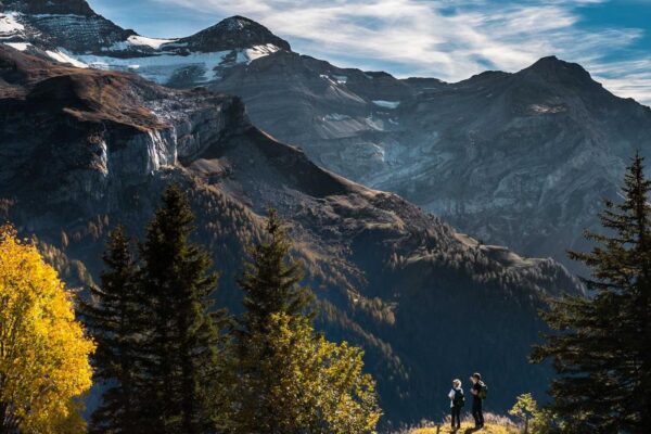 Regional Variations of Turnip Cakes Across China