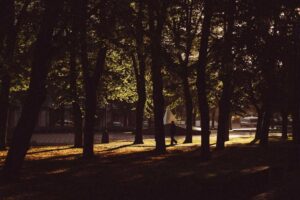 Sweet and Sour Pork Recipe: Traditional Step-by-Step Cooking Guide