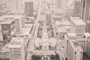 Turnip Cakes: Complete Guide to Authentic Chinese Cuisine