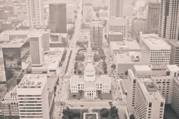 Turnip Cakes: Complete Guide to Authentic Chinese Cuisine