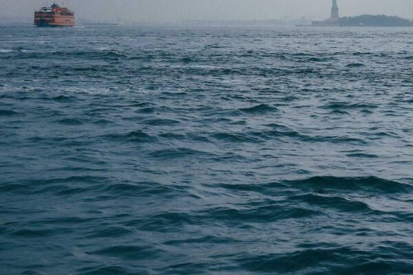 History and Evolution of Chinese Zodiac in China