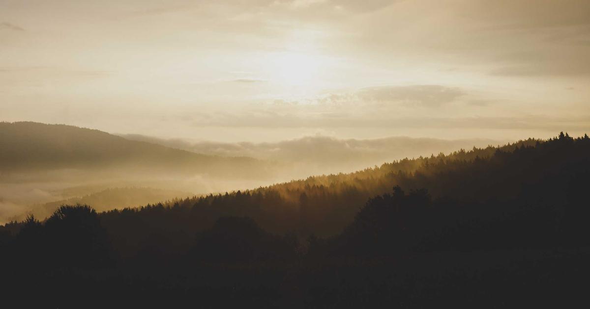 Chinese Gardens in China guide