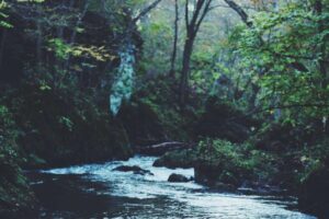 Northern Legs: Complete Guide to Chinese Martial Arts