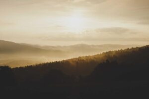 How to Experience Chinese Gardens as a Foreign Visitor