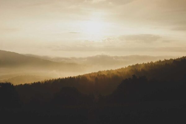 How to Experience Chinese Gardens as a Foreign Visitor