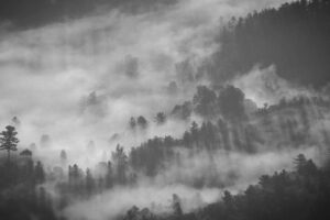 Famous Hung Gar Masters and Their Legacy