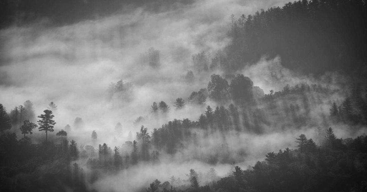 Hung Gar masters famous