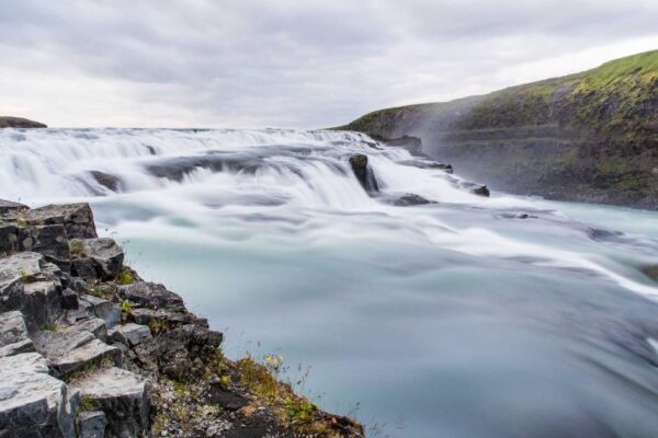 Regional Variations of Turnip Cakes Across China