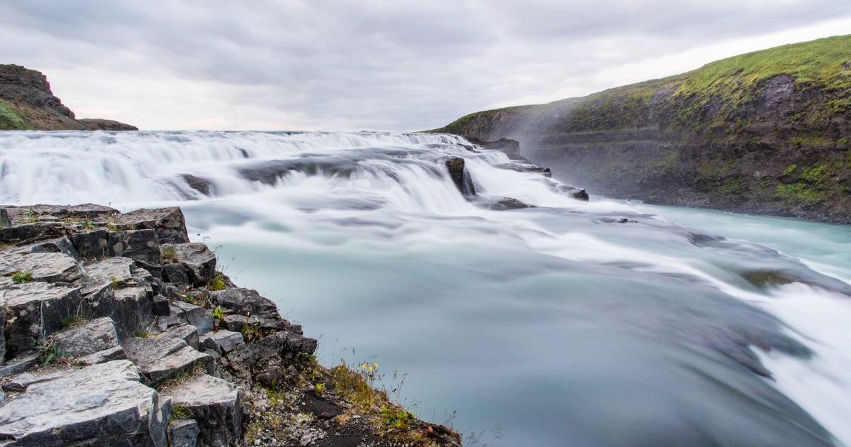 Turnip Cakes regional styles